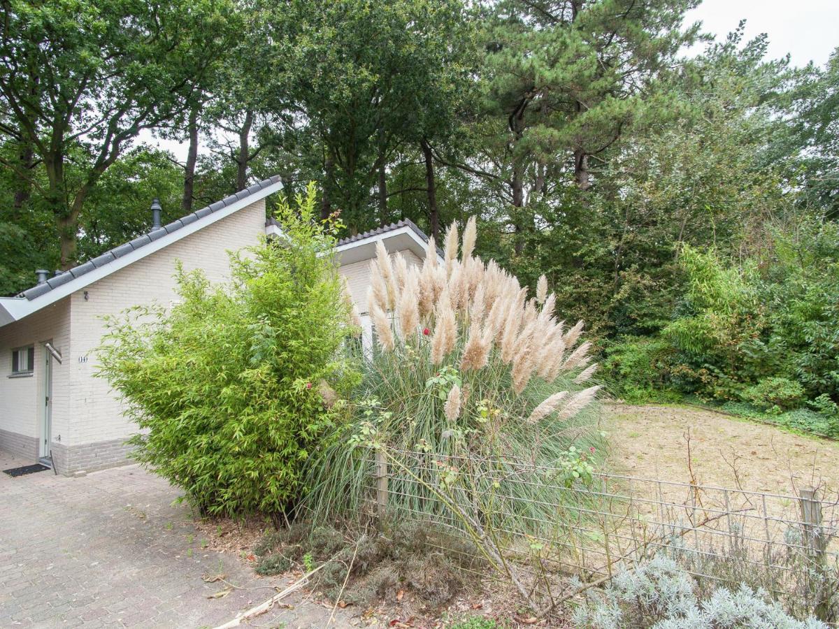 Elite Holiday Home In North Holland Near Forest Schoorl Exteriör bild