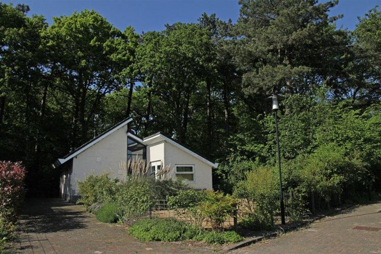 Elite Holiday Home In North Holland Near Forest Schoorl Exteriör bild